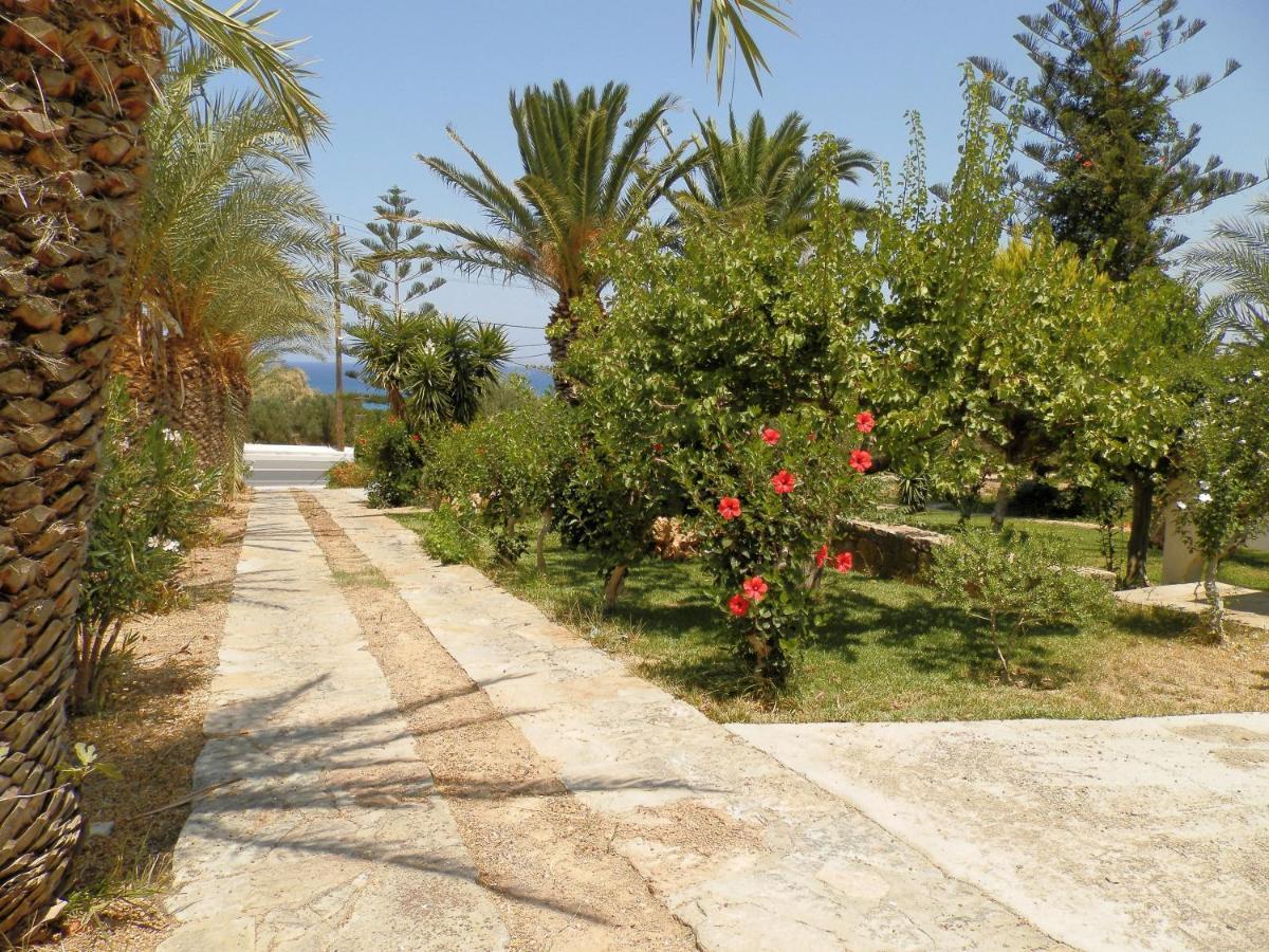 Kazamia With Sharing Pool *